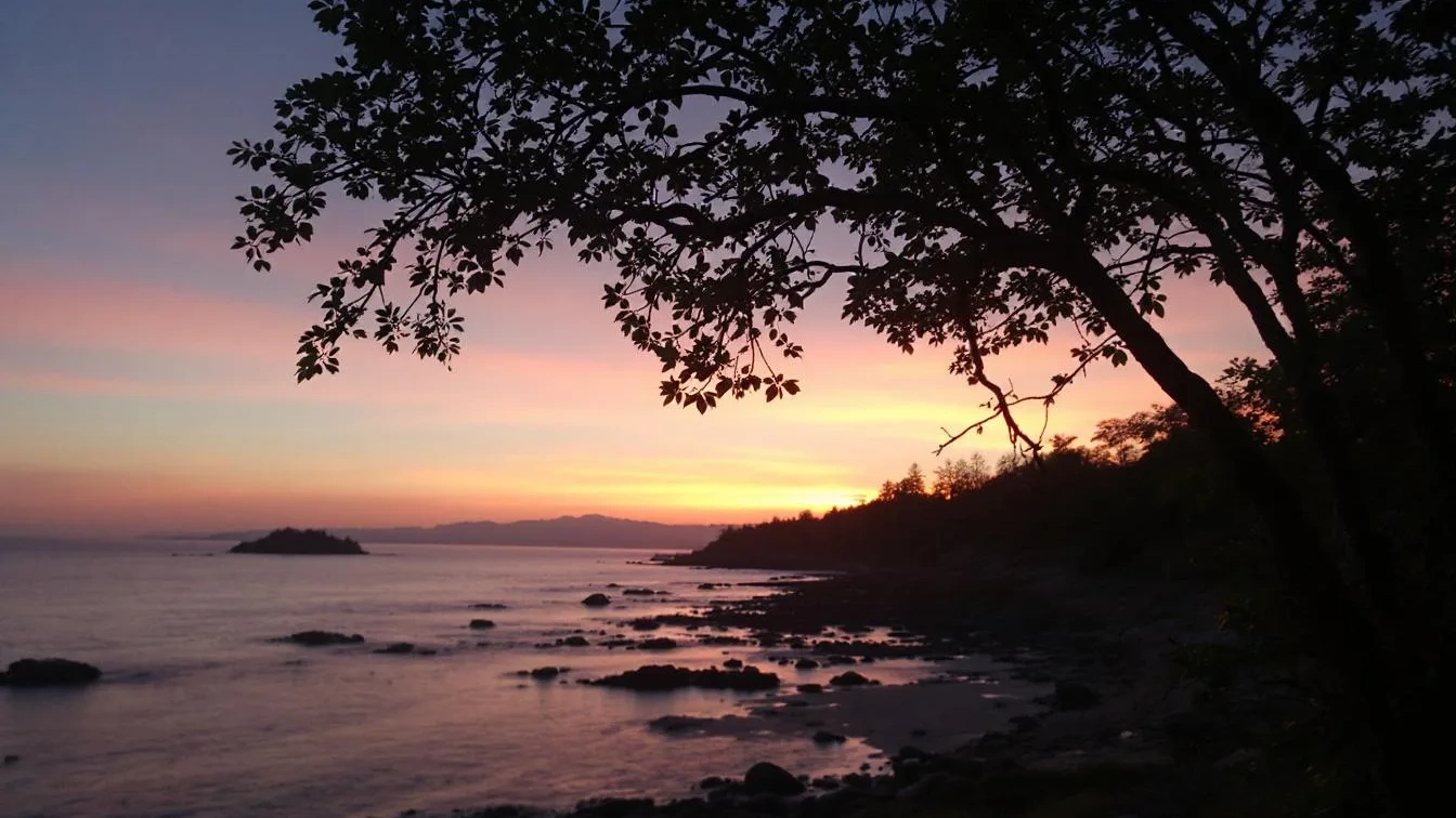 Tajemství dlouhověkého manželství: Proč společné finance budují důvěru více než romantická gesta