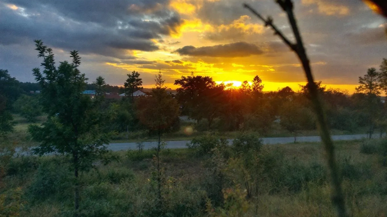 Většina Čechů o těchto 3 položkách v daních neví a stát jim zbytečně dluží peníze