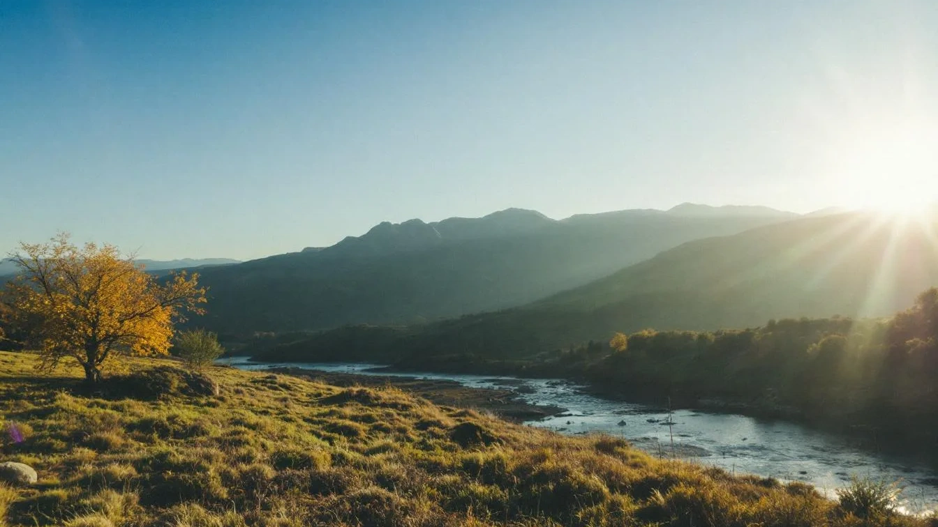 Zapomeňte na drahé doplňky stravy: Tato jedna bylinka z louky vyčistí krev lépe než pilulky z lékárny